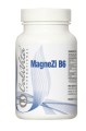 MagneZi B6 calivita