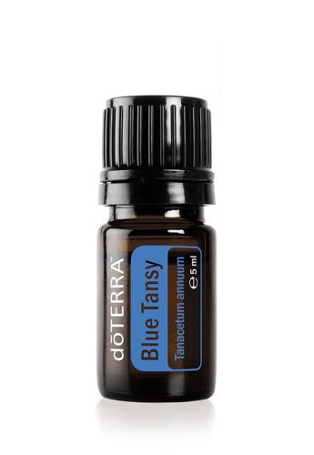 Blue Tansy doterra