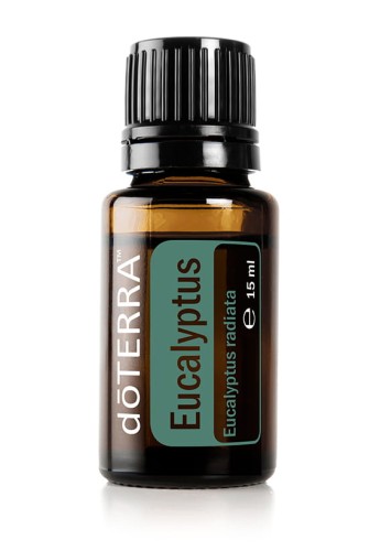 Eucalyptus doterra