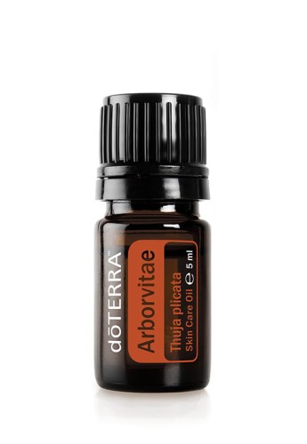 Arborvitae doterra