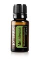 Melaleuca doterra