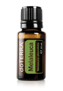 Tea Tree - drzewo herbaciane (melaleuca)