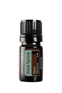 Black Spruce